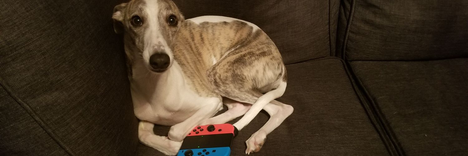 cass_the_lass2's profile banner image