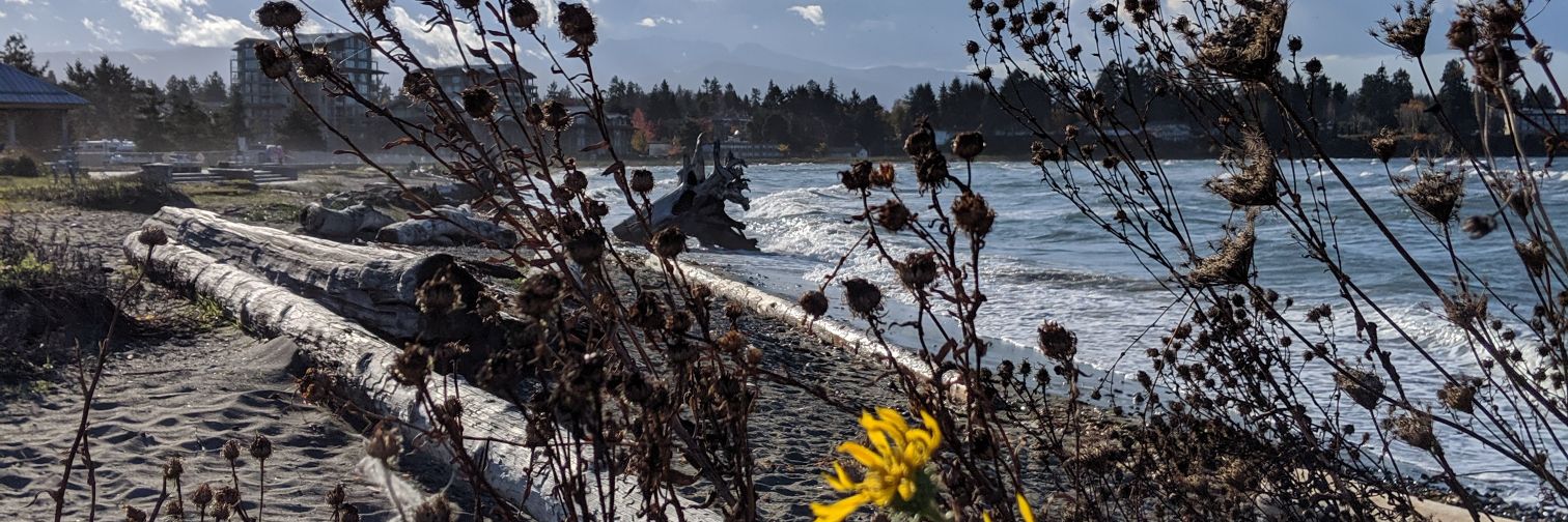 Chantelle Morvay banner