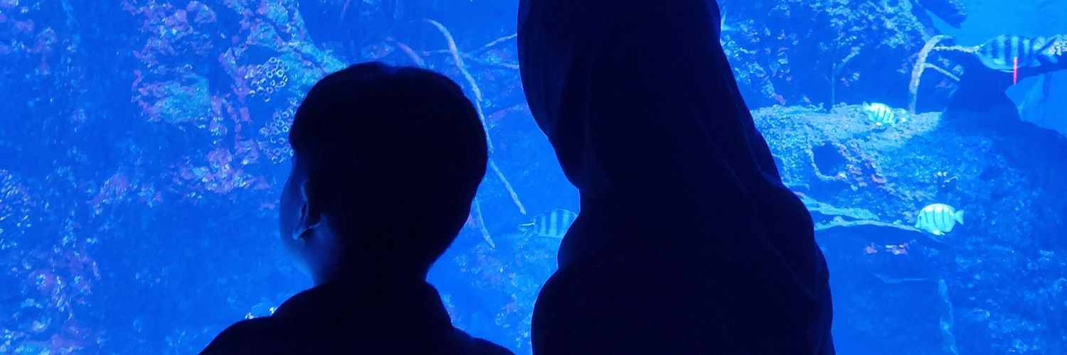 swedija's profile banner image