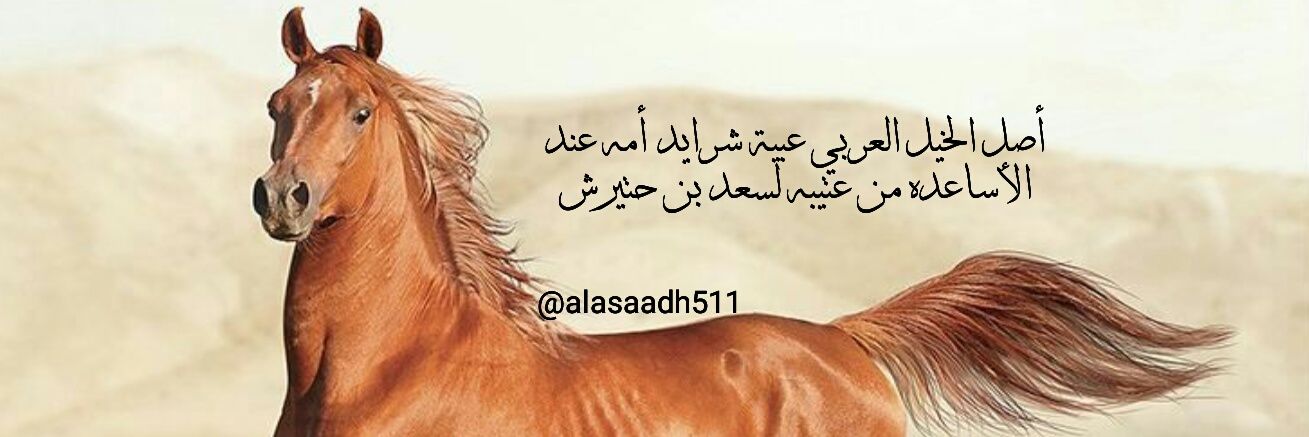 الأساعدة banner