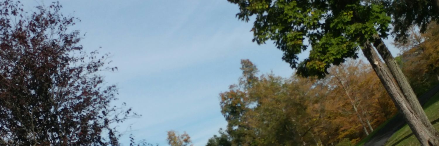 BrandonFunk7's profile banner image