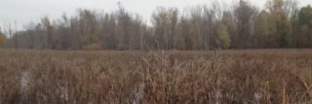 AlexNiedecken's profile banner image