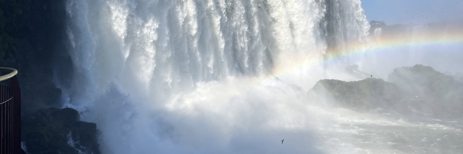 roin_ro's profile banner image