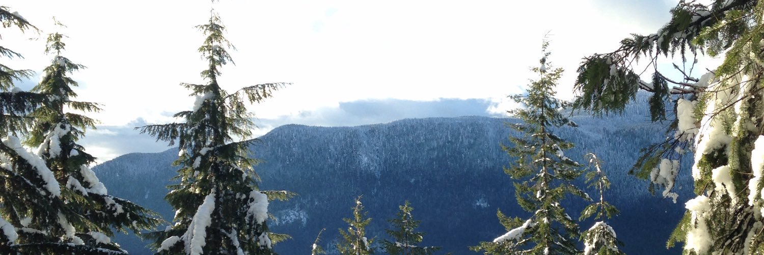 TGoff82's profile banner image
