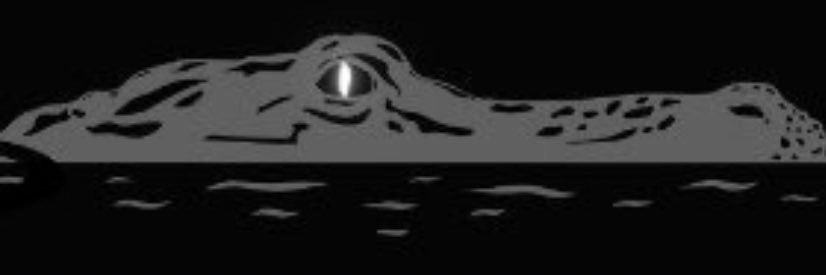 purpledalmation's profile banner image
