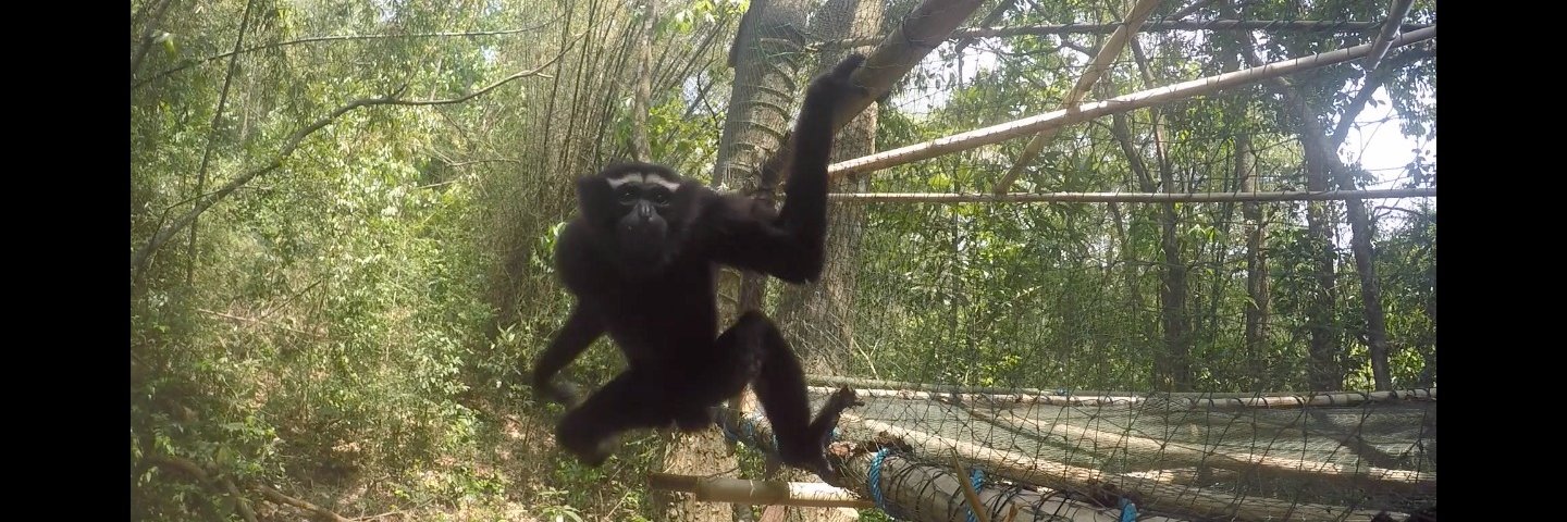 HURO Programme banner