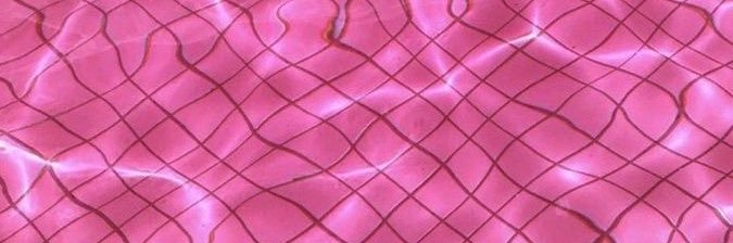 iamQuanLe's profile banner image