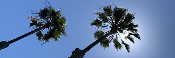 gitanjalipoonia Profile Banner