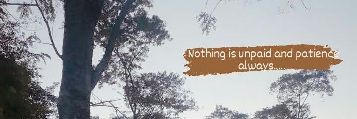 Tasnim Ahmed banner