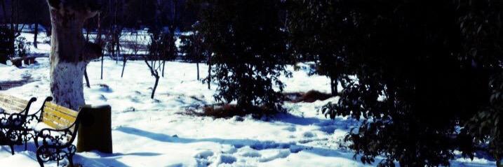 Revina  | banner