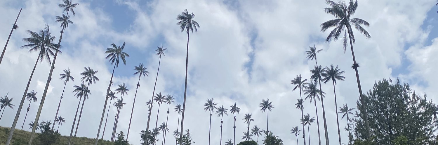 Mapache clase media banner