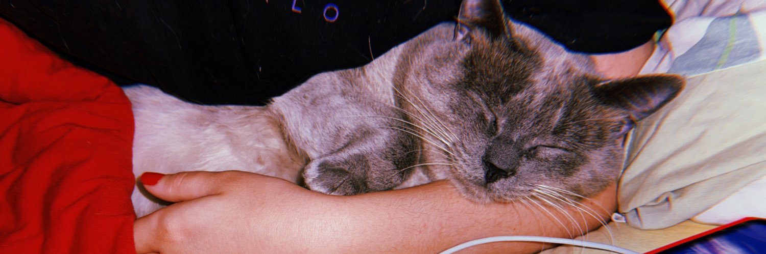 Mine :) 🏳️‍🌈 banner