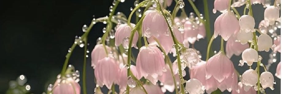 Nona_Pebbles's profile banner image