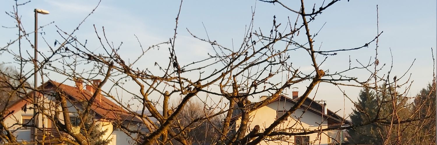 ivmaticc's profile banner image