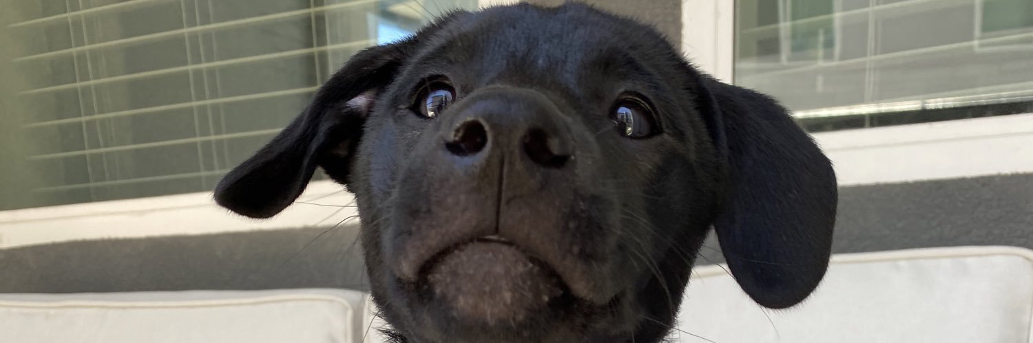 tabpppr's profile banner image