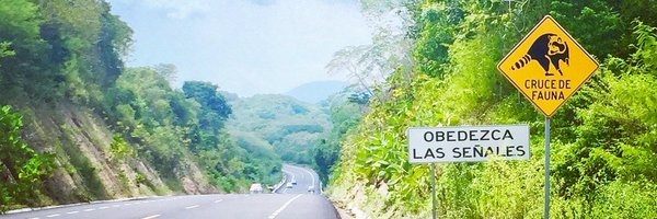 universe_circus Profile Banner