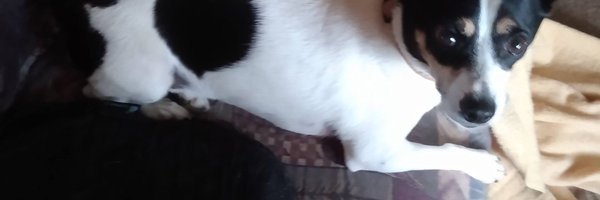 SylviaMSoto2 Profile Banner