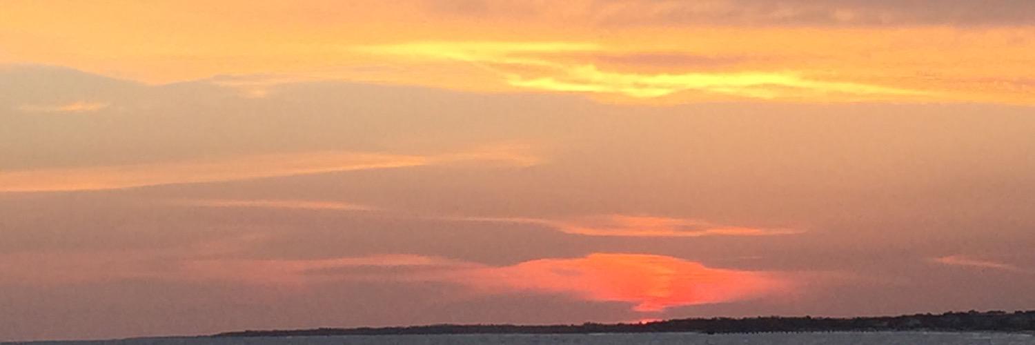 vmangel1's profile banner image