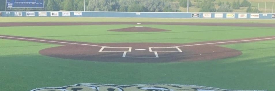 Barton Baseball's banner