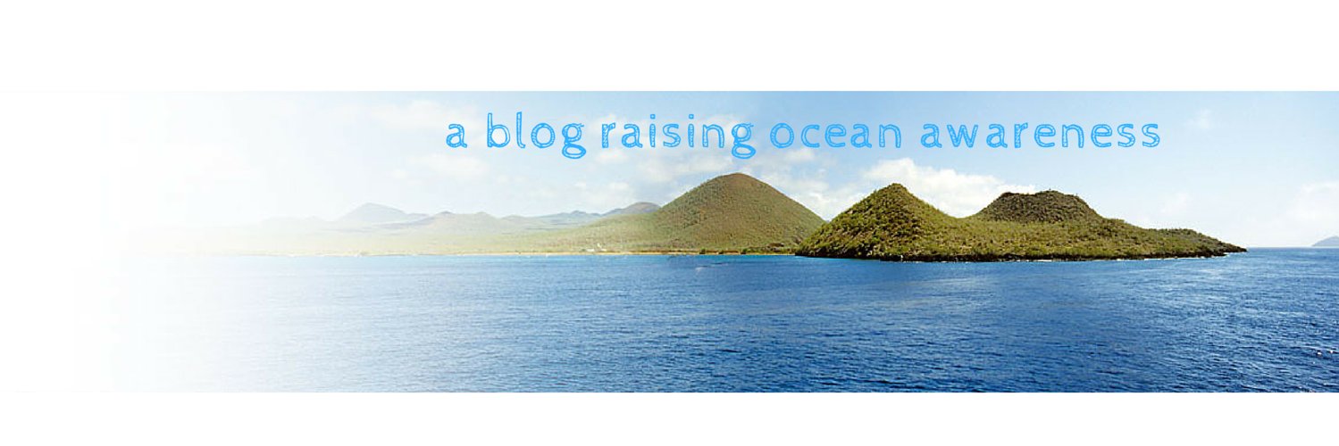 BluFeet's profile banner image