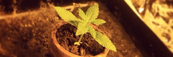 b2oytsu Profile Banner