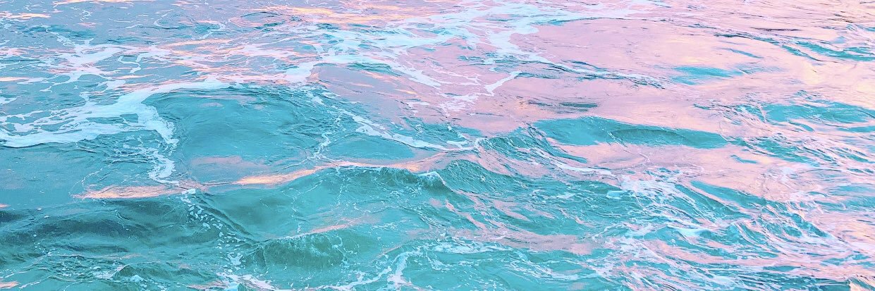 caroline banner