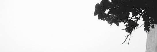 Soo__2008's profile banner image