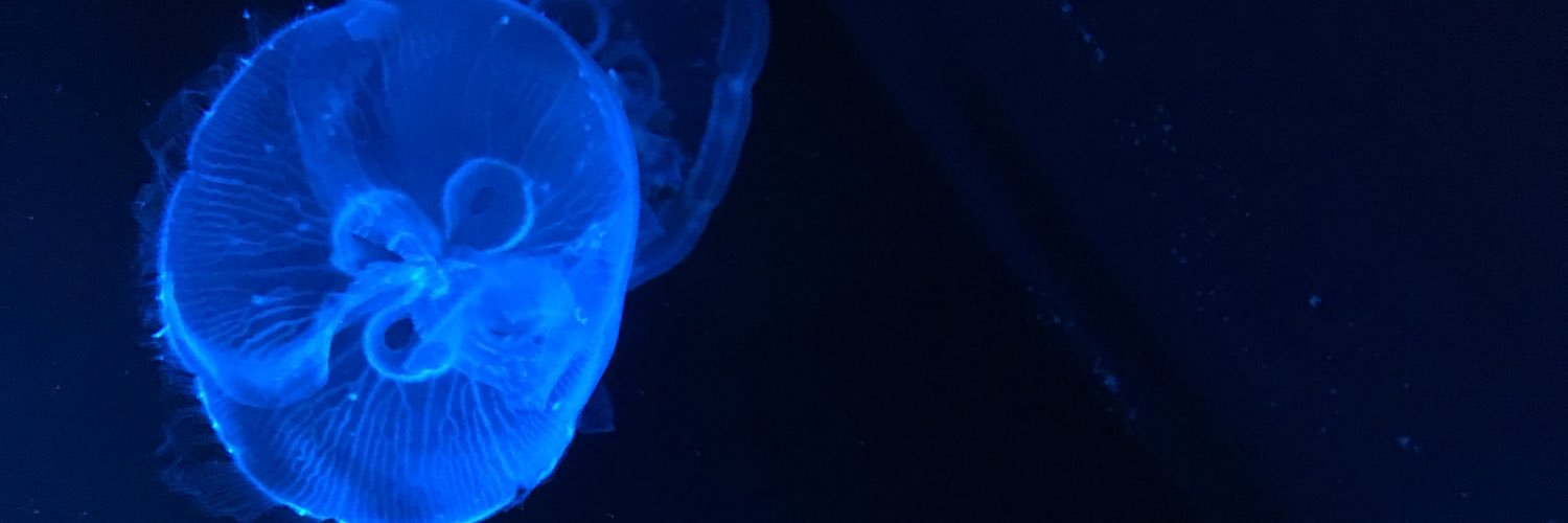 ll0817mkll's profile banner image