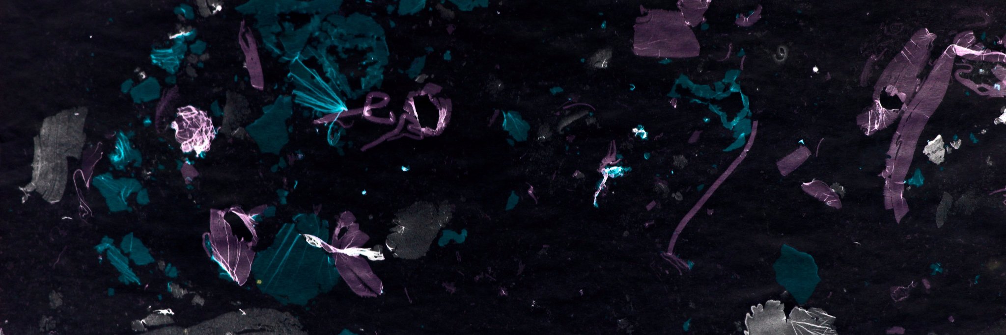 CanibalOrfeu's profile banner image