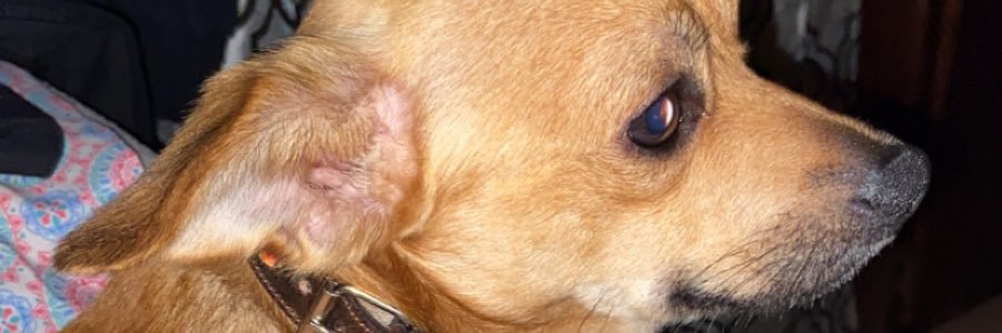 allicksz's profile banner image