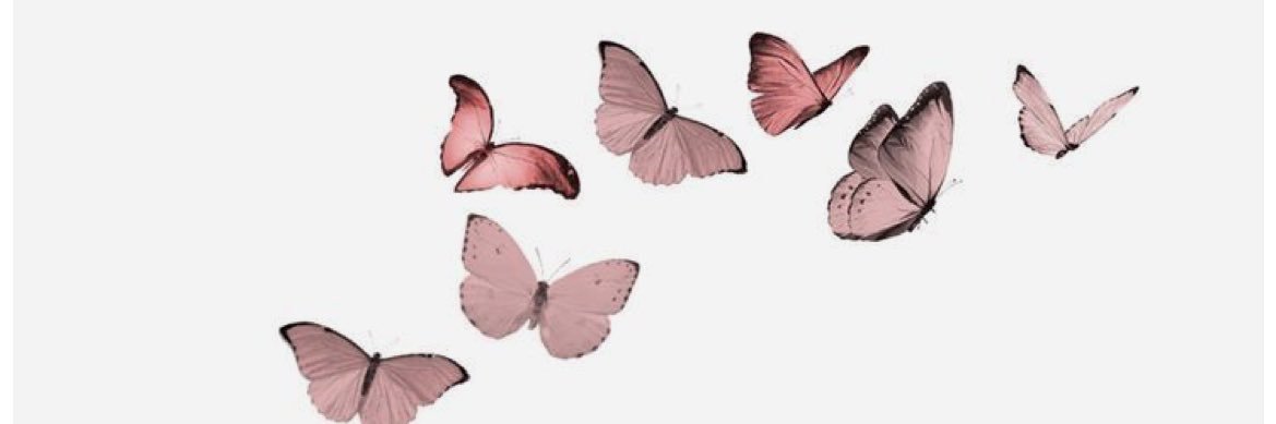 Lailla93's profile banner image