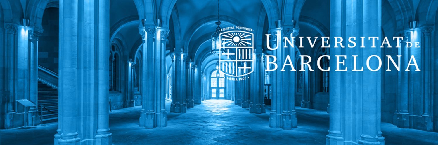 F.J. Eiroa-Orosa banner