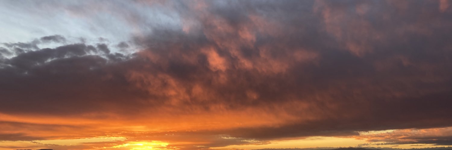 Manny Manriquez banner