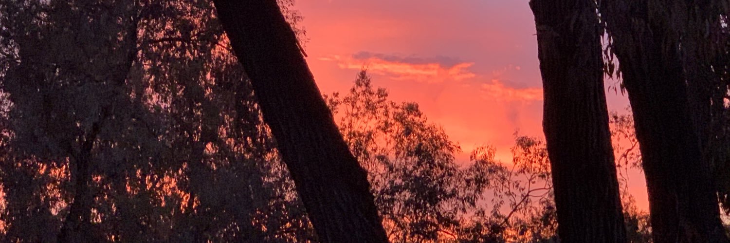TheTallLabowski's profile banner image