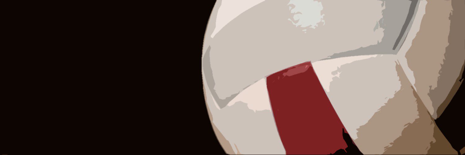 NA Volleyball banner