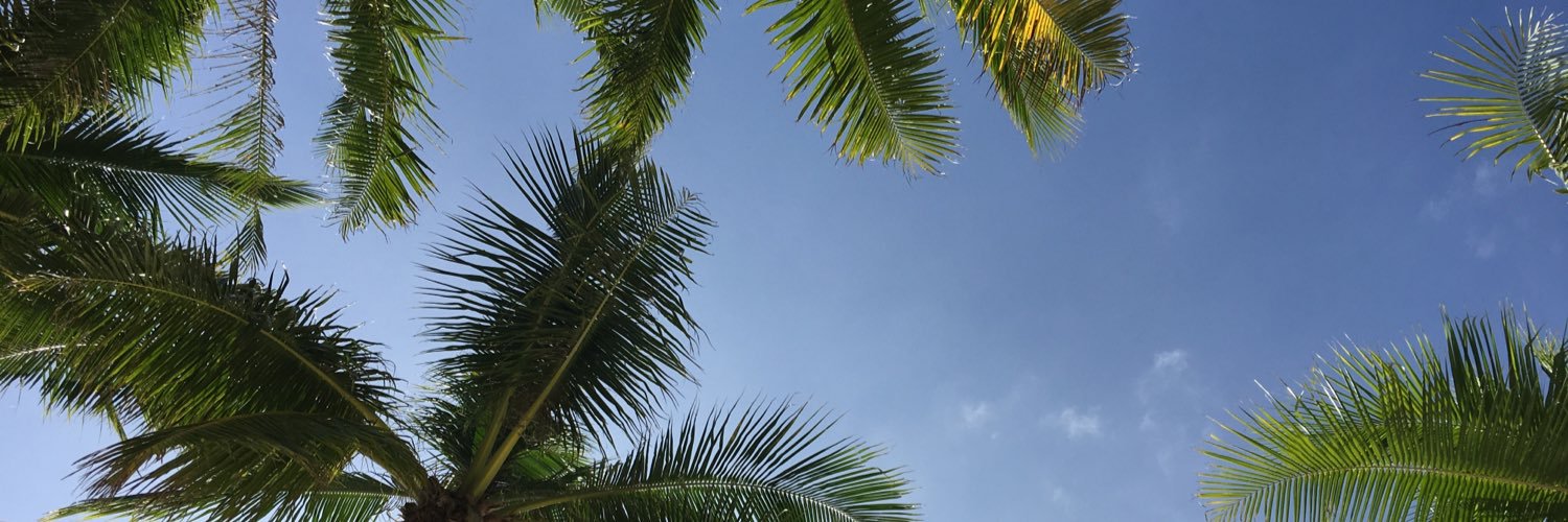oiceybelle's profile banner image