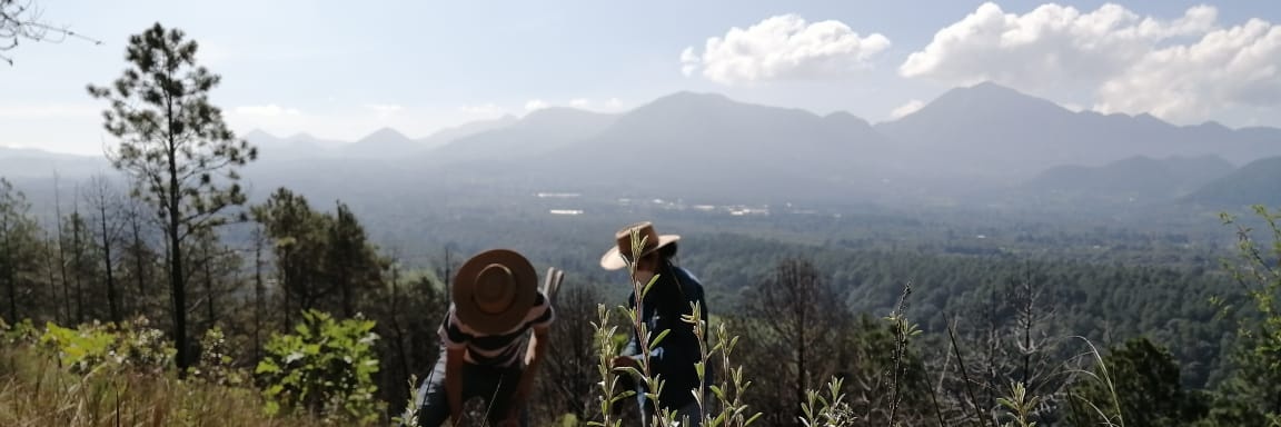 Daniel I. Avila-Ortega banner