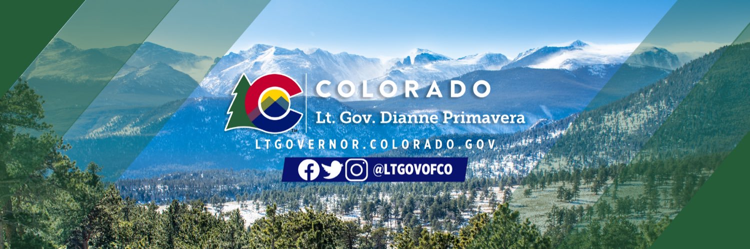 Dianne Primavera banner
