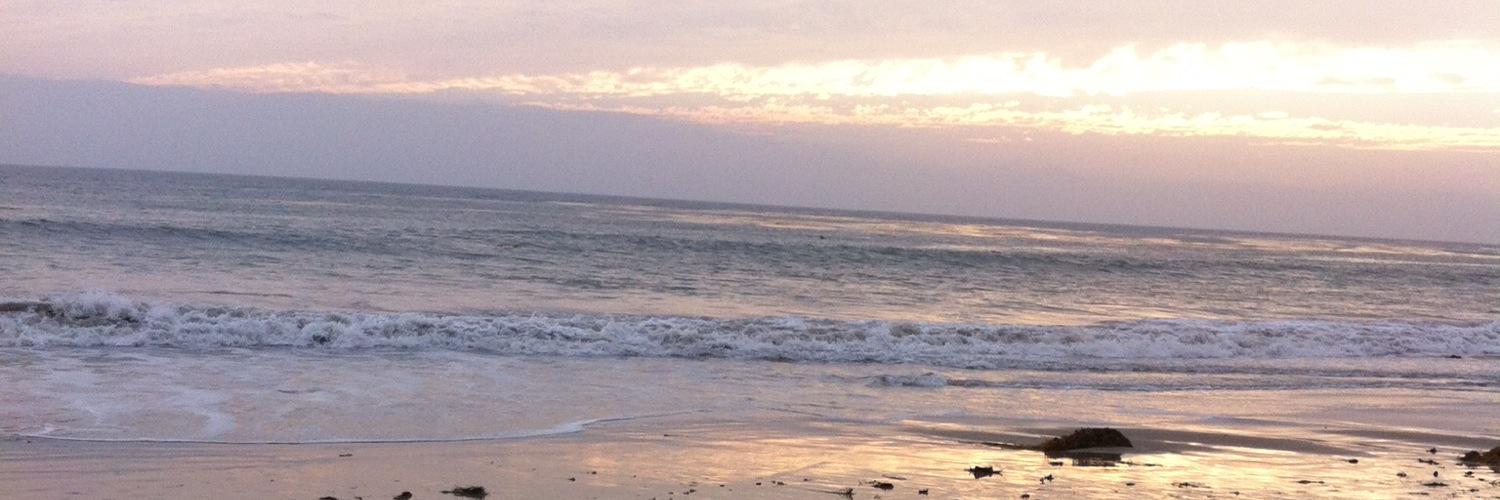 Bridogg's profile banner image