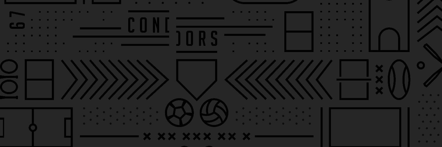 Conestoga Condors banner