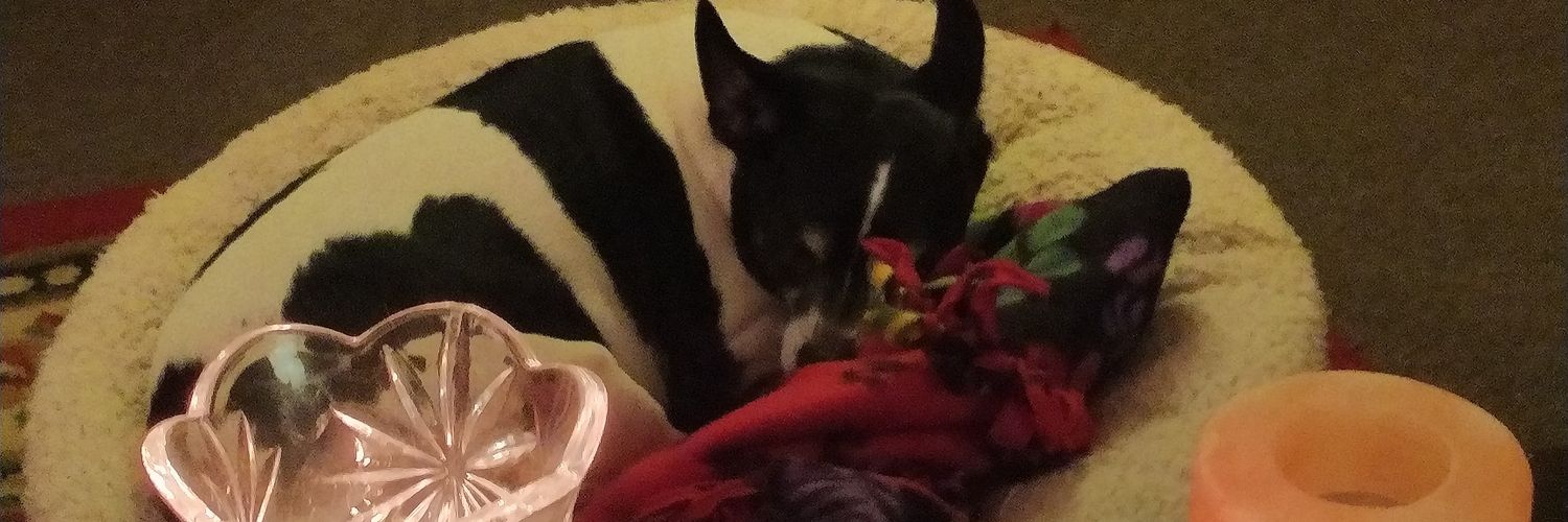 Donnanator❌🔮❌🔮❌ banner