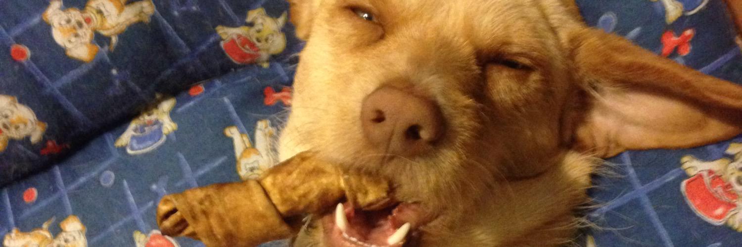 pleasebrills's profile banner image