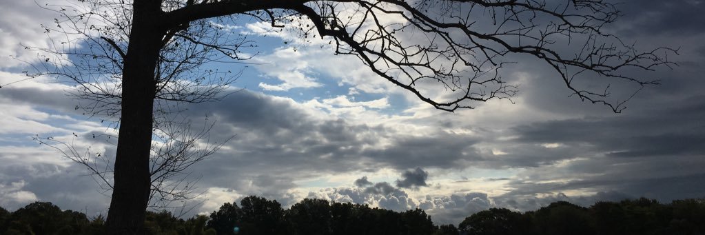 MarnyKindness's profile banner image