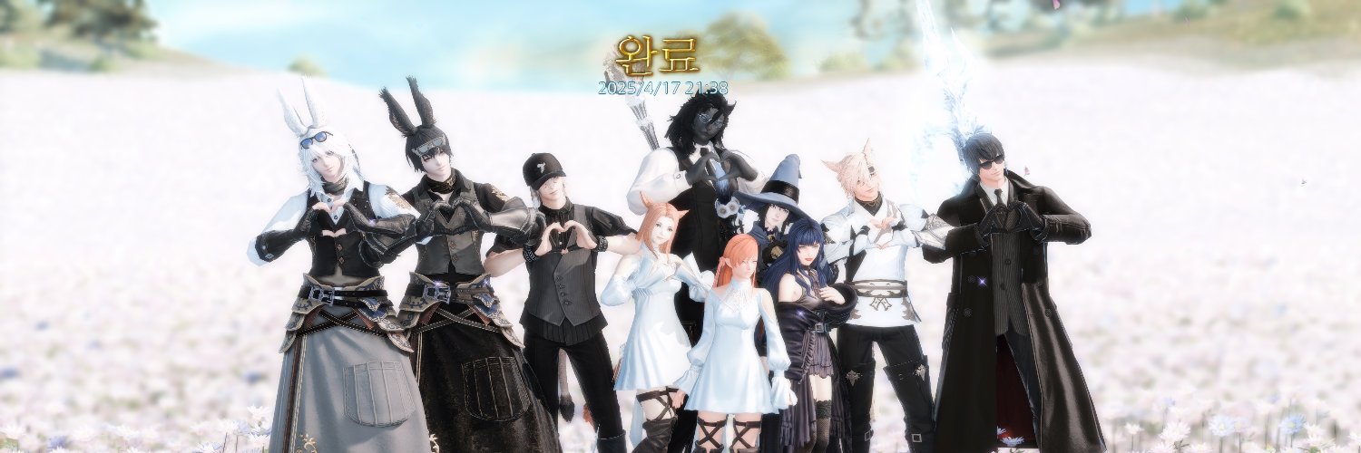 도리 banner