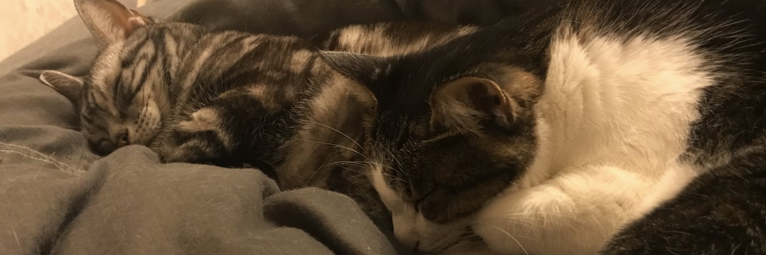 ふーさんやで。 banner