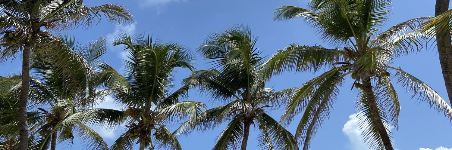 maymedinaaa's profile banner image