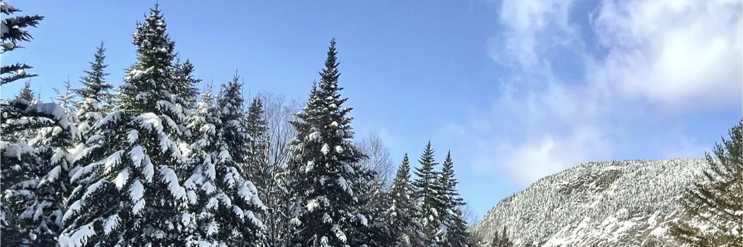 🎄☃️Catholic Charm ✞ ☃️🎄 banner