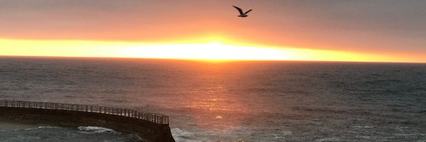 SwingTraderQ Profile Banner