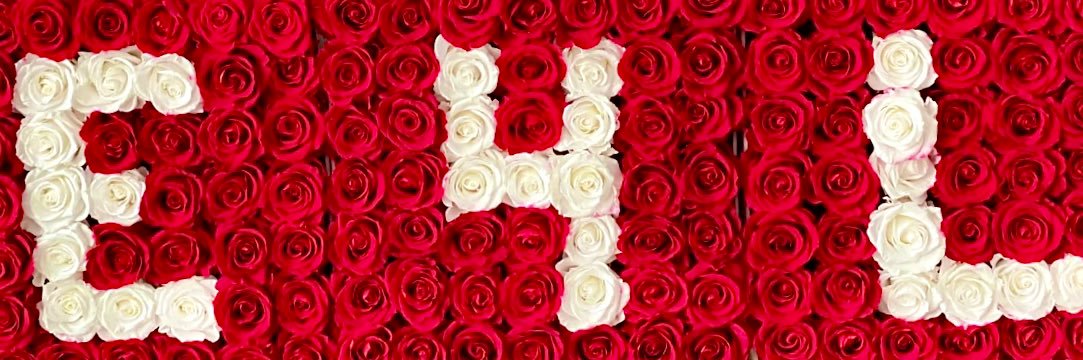 JBeautycrush's profile banner image