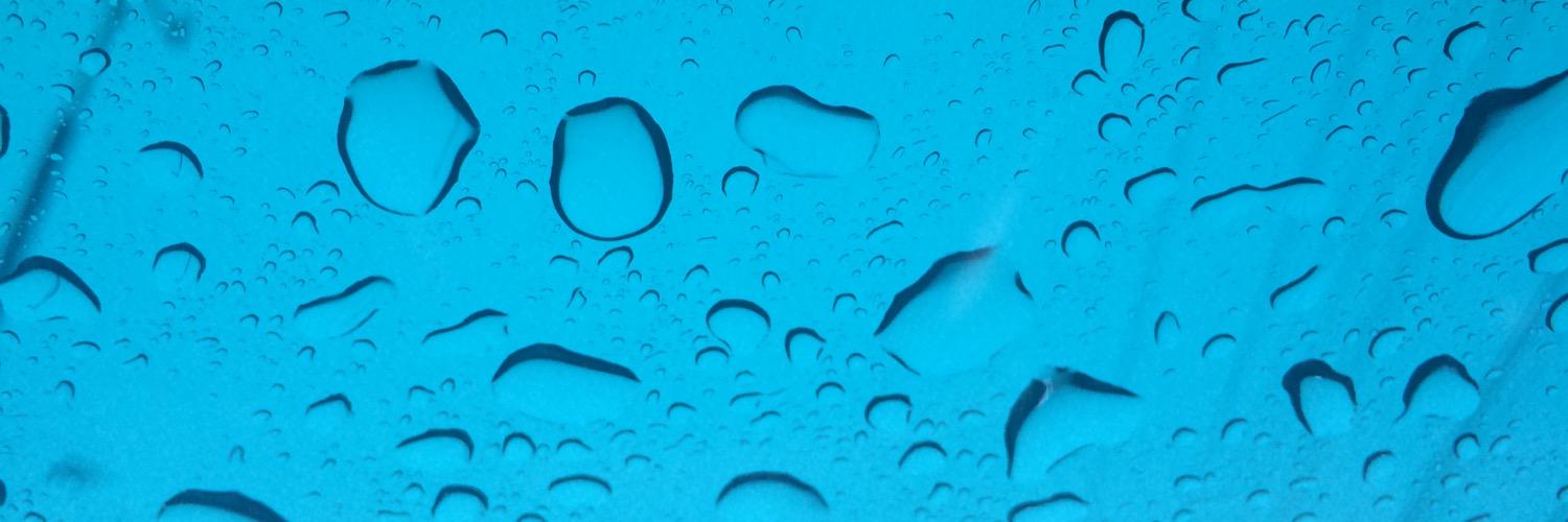 Daniel G. Cantón banner